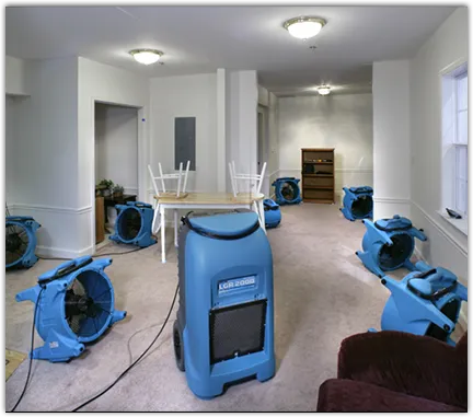 Mold Remediation & Removal in Woodlake, VA